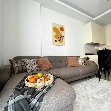 A Designer In The Heart Of Apartment *